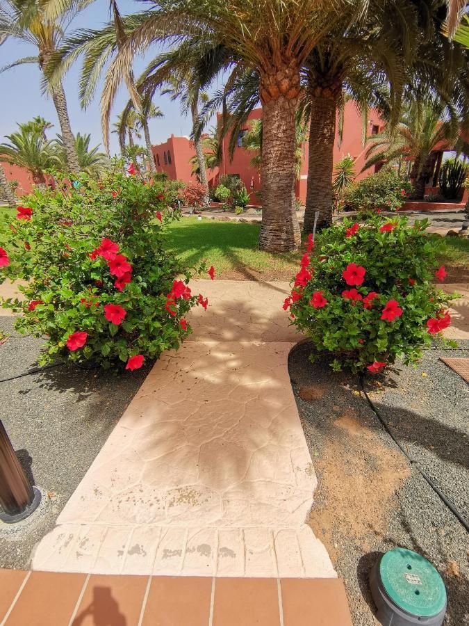Appartamento Spagnolo Oasis Tamarindo Corralejo Exterior photo