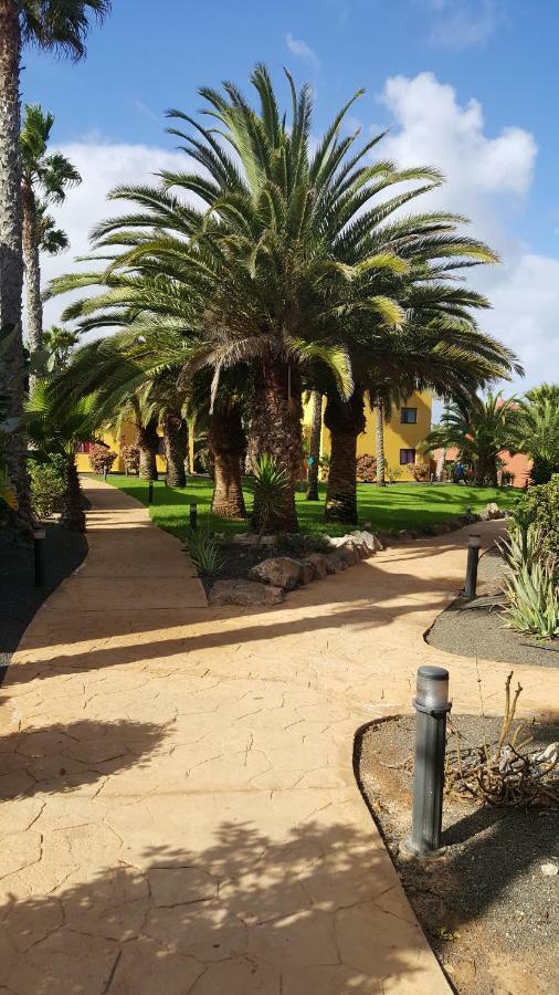 Appartamento Spagnolo Oasis Tamarindo Corralejo Exterior photo